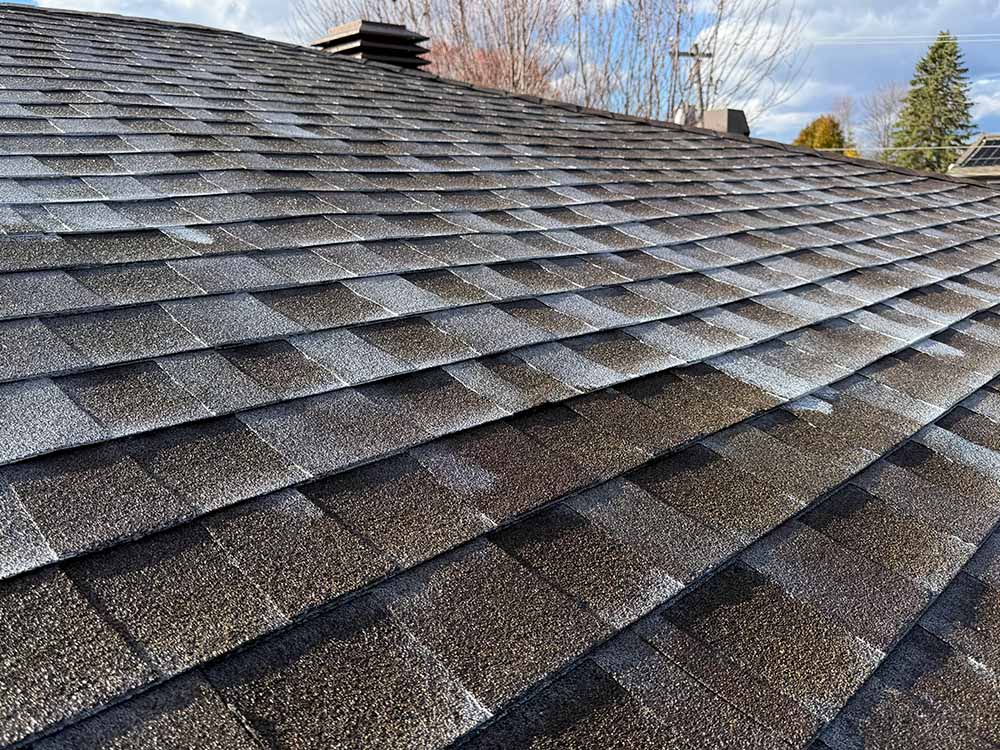 Asphalt shingle roof after professional rejuvenation treatment in Ottawa