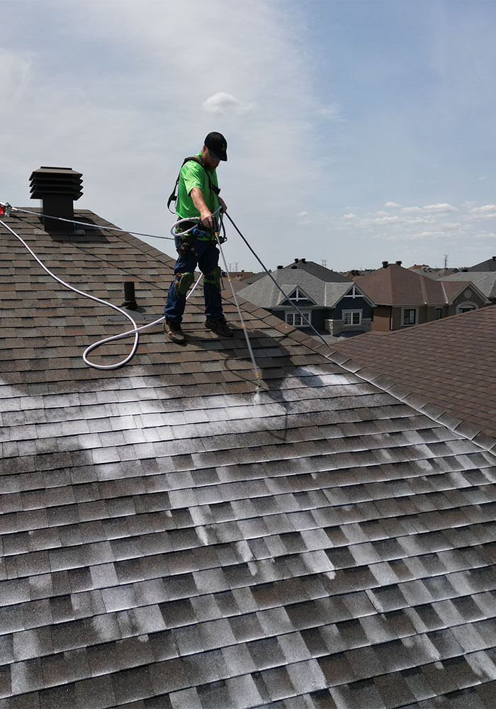 roof rejuvenation treatment being applied to asphalt shingle roof to restore flexibility and extend roof life