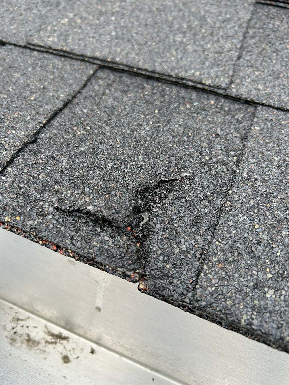 Damaged Asphalt Roof Shingle