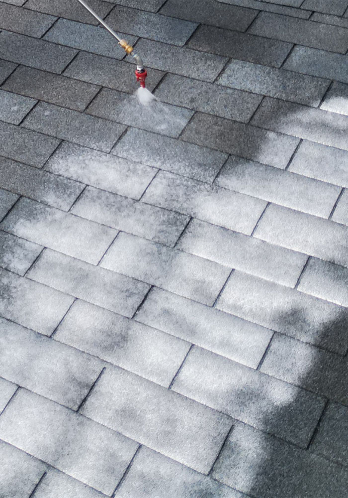 Roof Rejuvenation Treatment Application